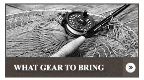 What Gear to Bring