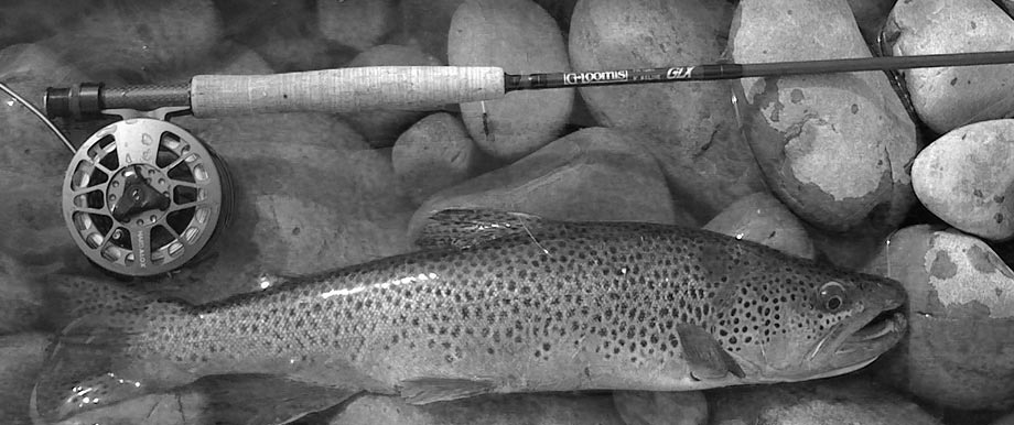 Bariloche Anglers